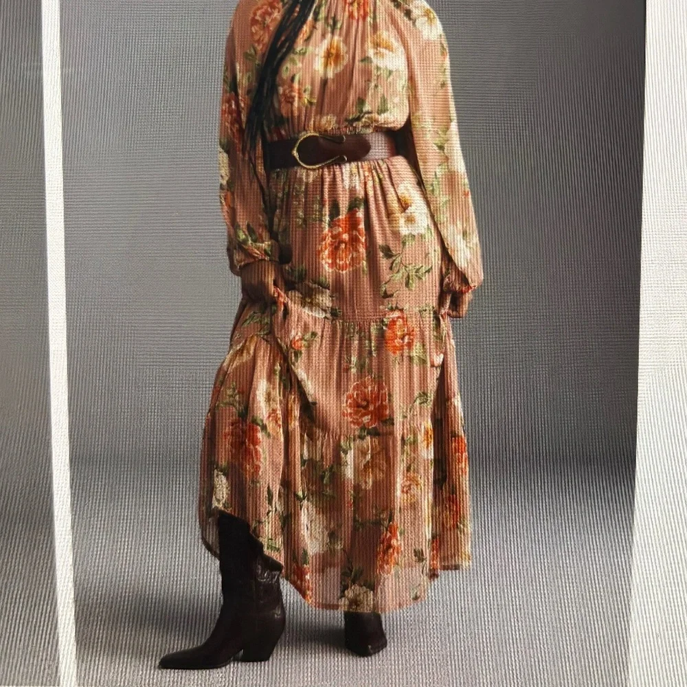 Anthropologie Somerset Long-Sleeve Mock-Neck Chiffon Maxi Dress - Picture 5 of 6